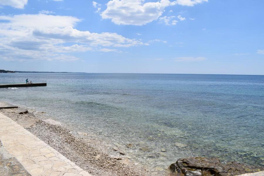 Apartment Matea Novigrad Istria Dış mekan fotoğraf
