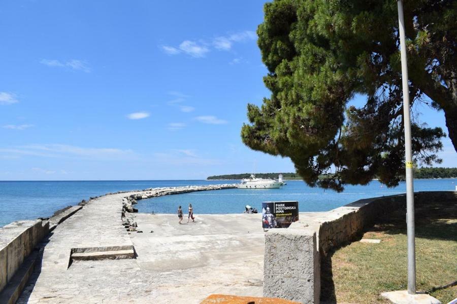Apartment Matea Novigrad Istria Dış mekan fotoğraf